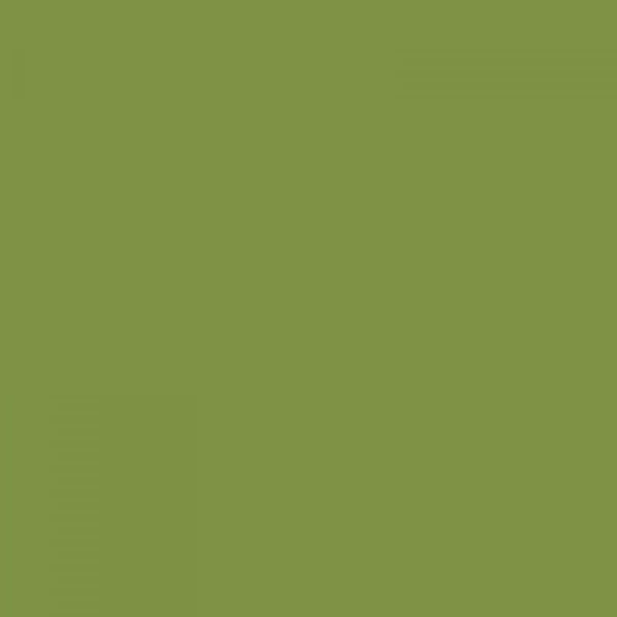 color: 0041