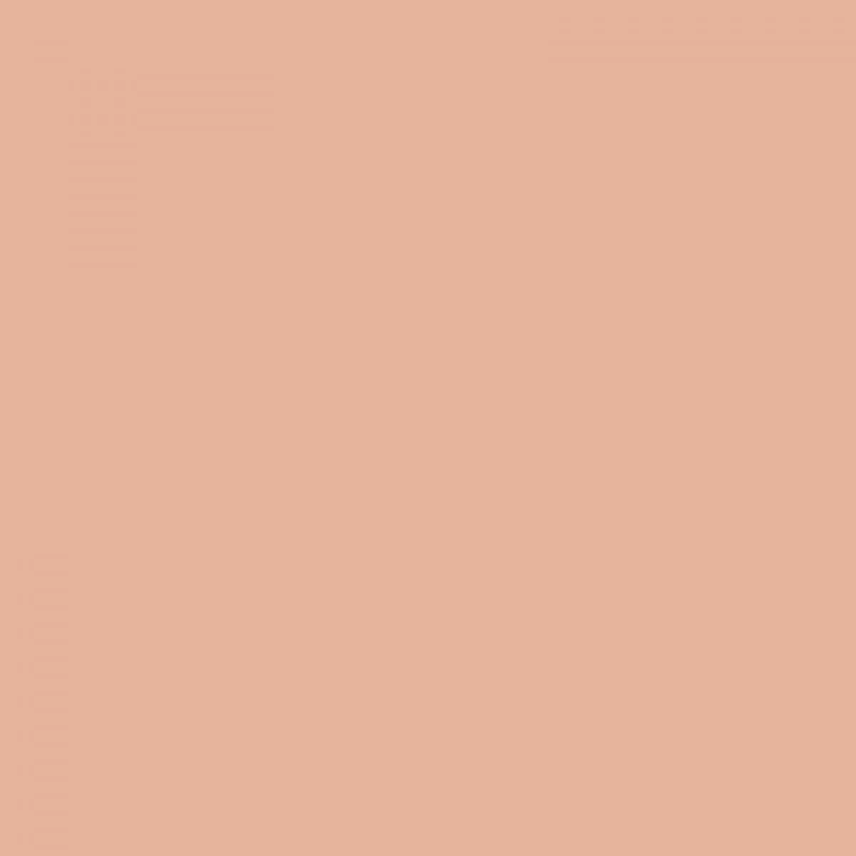 color: 0919